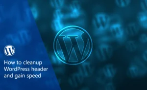 How to cleanup wordpress header and gain speed 1