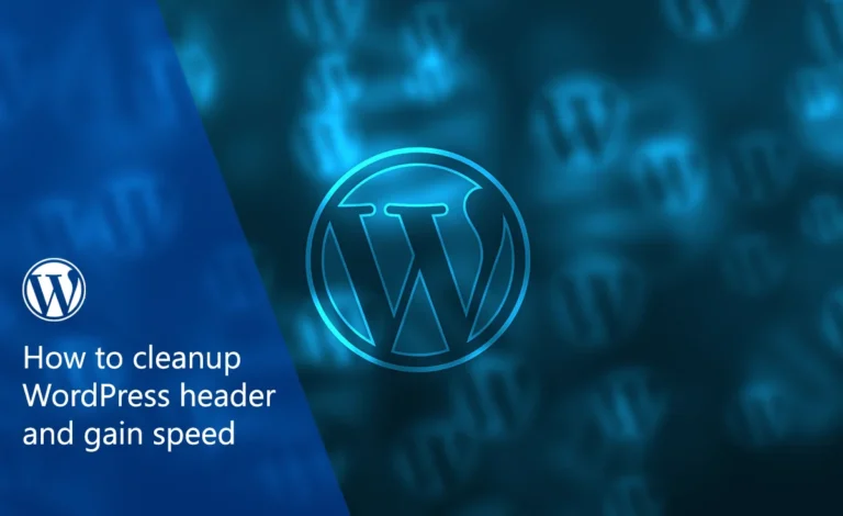 How to cleanup wordpress header and gain speed 1