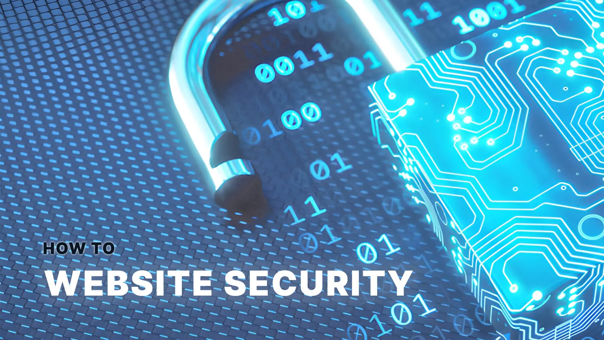 Website security guide